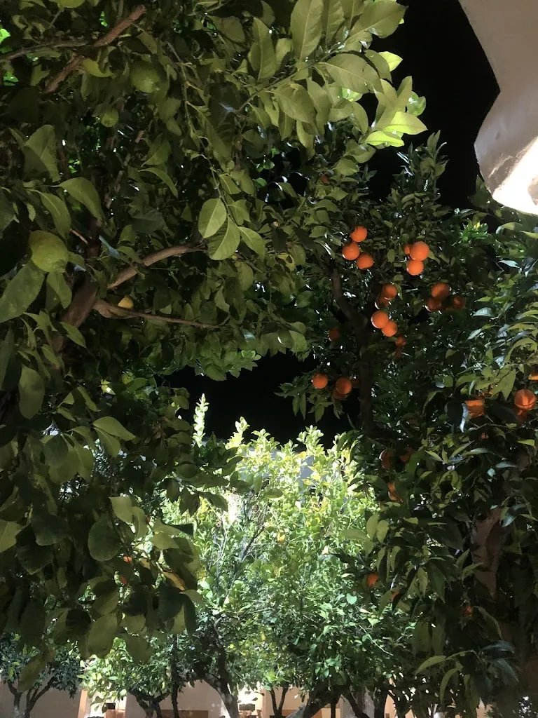 Oscar TAO_Parador De Guadalupe Caceres_Terrer_review