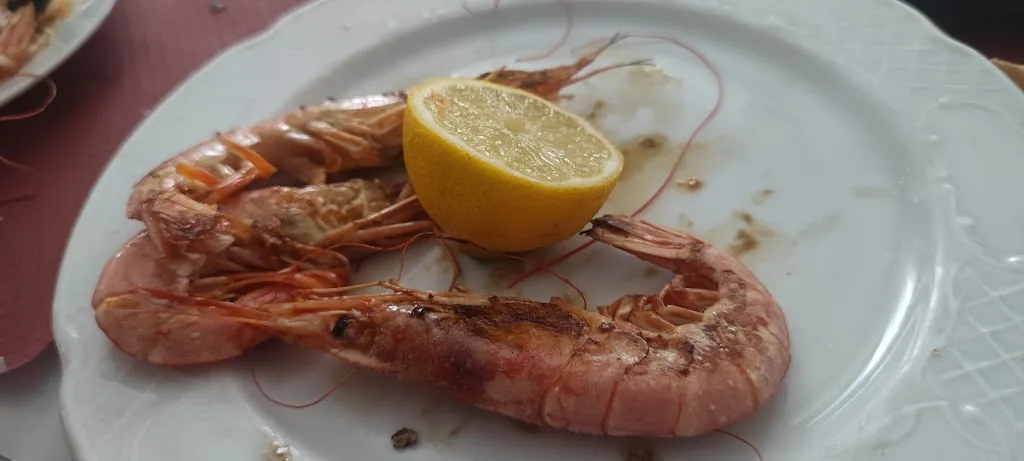 Menu_Bar Stop_Tauste_image_4