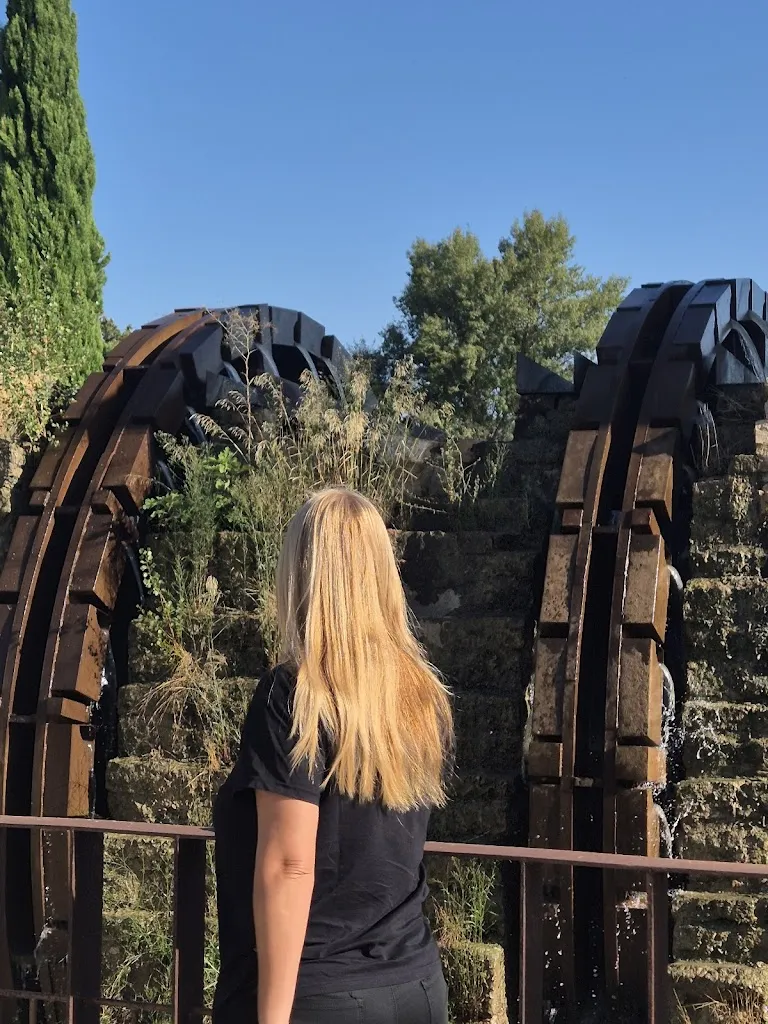 Luis Lopez arnauda_Ayuntamiento de Velilla de Ebro_Velilla de Ebro_review