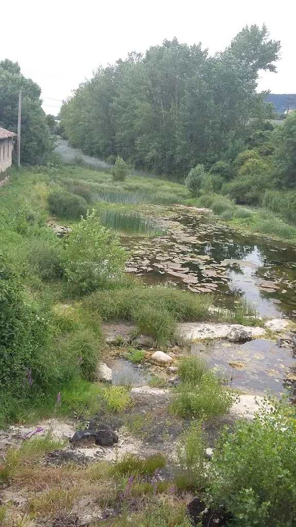 restaurante herman cantabria_Armiñón_slider_image_3