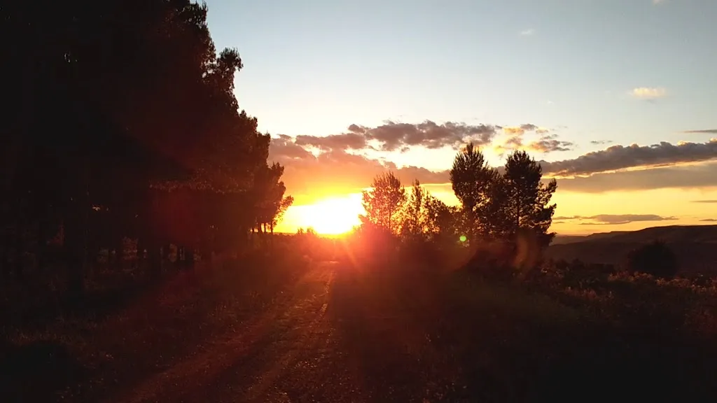 Bar Agustín_Villafeliche_slider_image_2