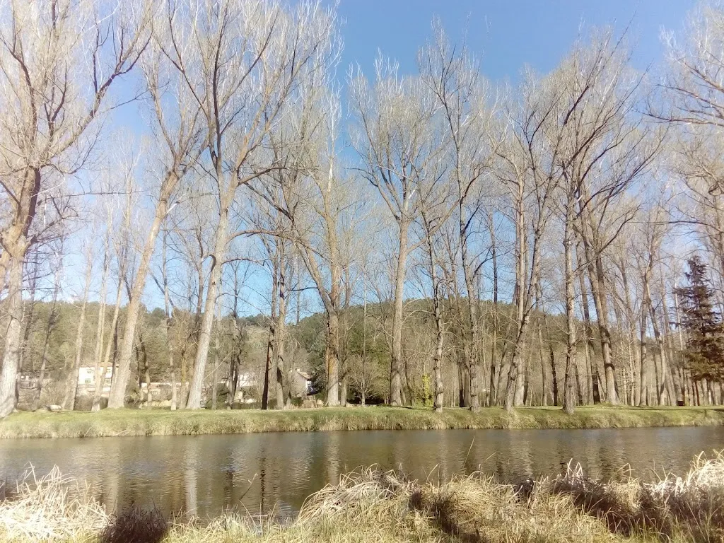 BAR HENRRY´S_Villarroya de la Sierra_slider_image_3