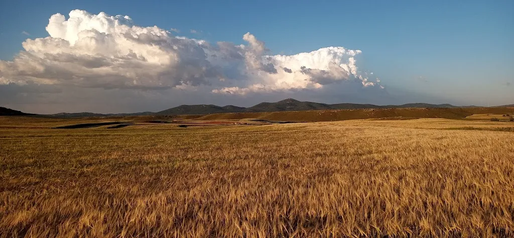 Ayuntamiento De Villarroya Del Campo_Villarroya del Campo_slider_image_3