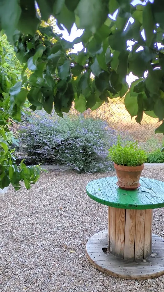 Casa Rural El Jardín_Vilueña La_slider_image_2