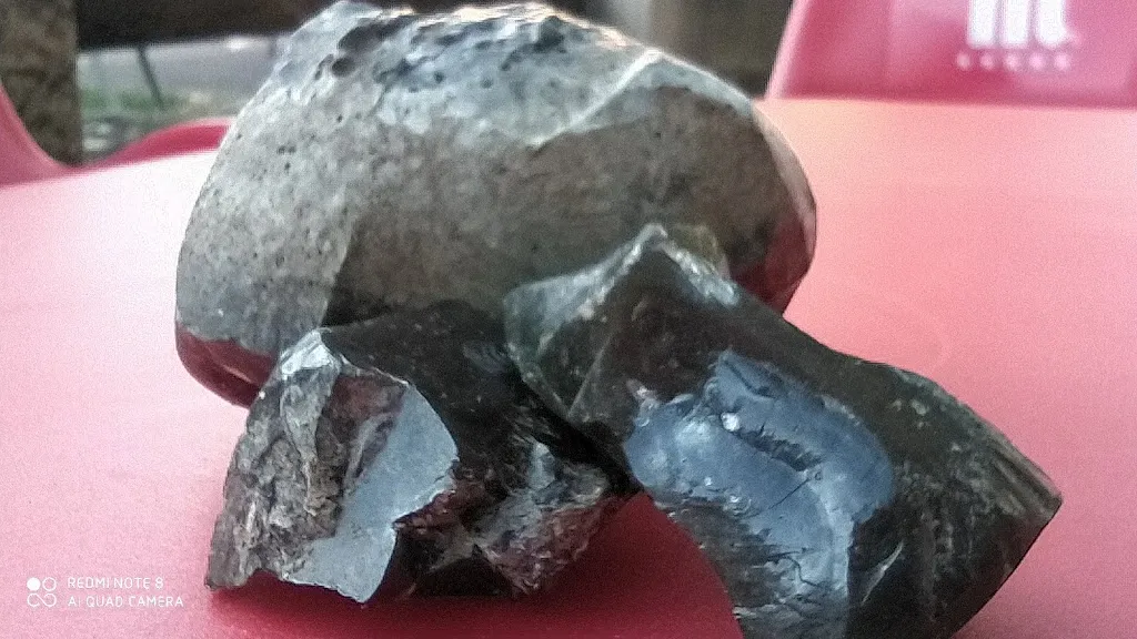 Menu_Batzoki Araia_Asparrena_image_8