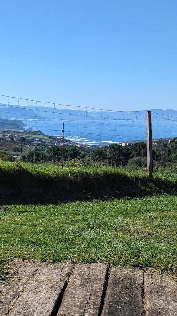 Patrik_Marisqueria Ipar Itsaso_Arrazua-Ubarrundia_review