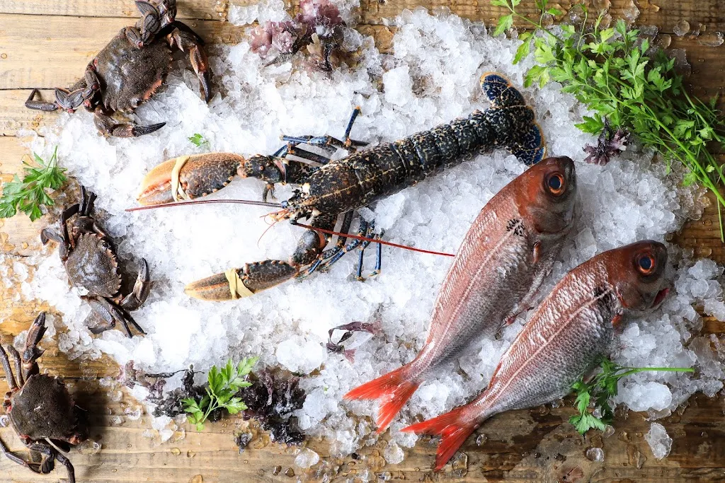 Restaurante La Bodeguilla Lanciego_Elburgo/Burgelu_slider_image_3