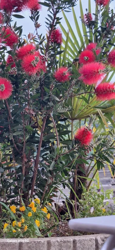 Robert Gundelj_Urgazi Taberna_Erriberagoitia/Ribera Alta_review