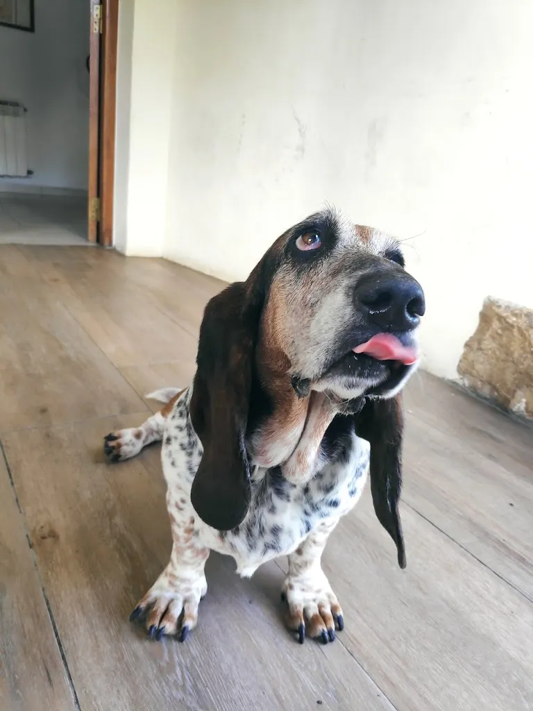 Ana Ruiz_Bar Frontón_Lagrán_review