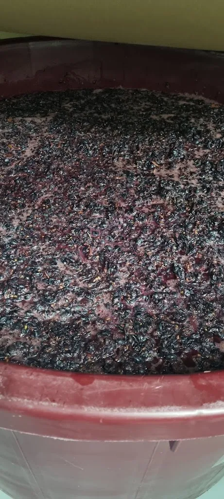 Miguel Gonzalez_señorio de lanciego_Lanciego/Lantziego_recensione