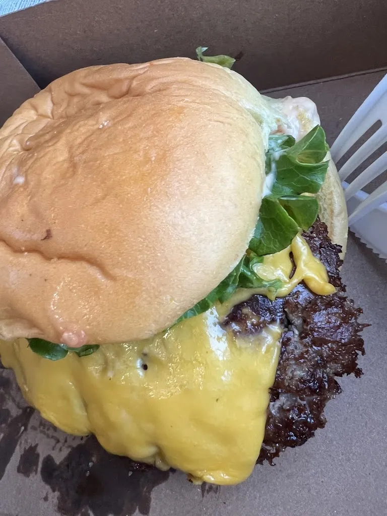 Hakan Nigdeli_Shake Shack_Laguardia_review