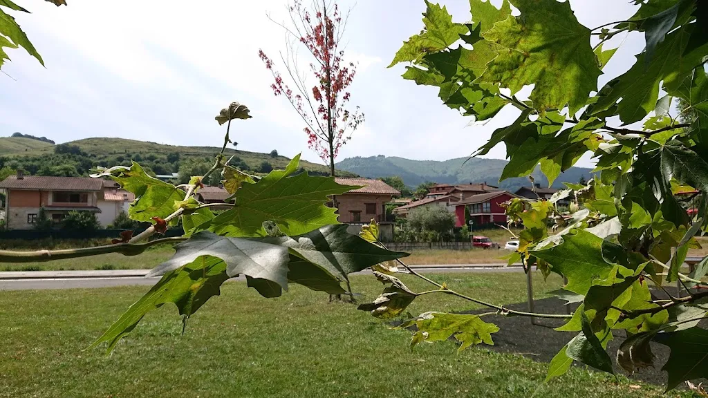 Restaurante Casa Andalucía_Laudio/Llodio_slider_image_3