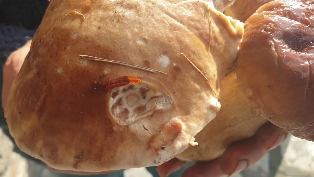 Restaurante Xarmanta_Laudio/Llodio_slider_image_2