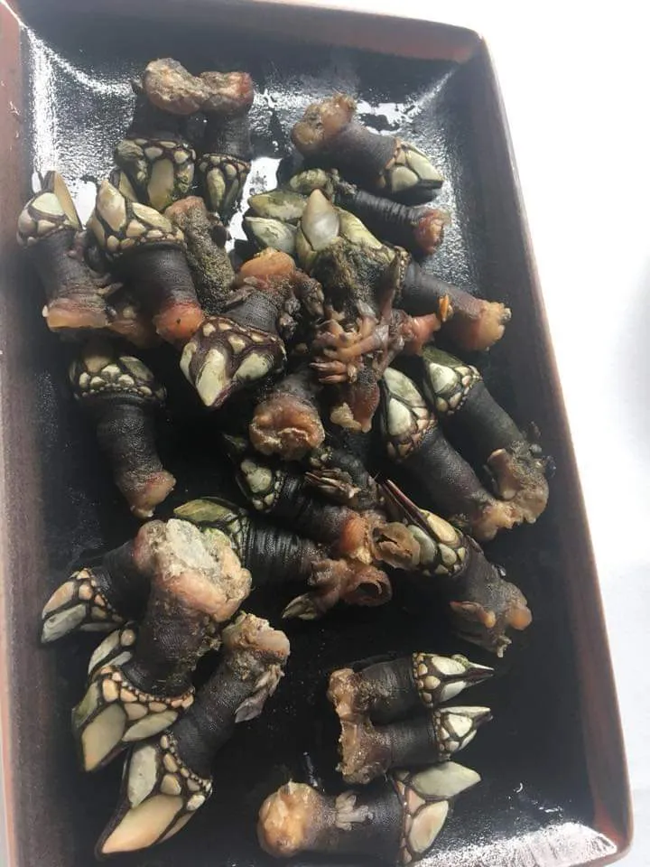 Menu_El Campanu FINCA VILLA MARÍA | Restaurante | Sidrería | Marisquería_Amieva_immagine_6