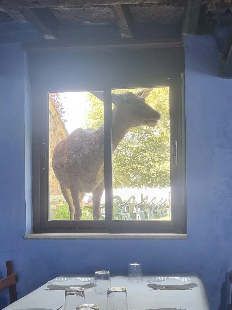 Javi Borrego_Les Praeres Restaurante_Bimenes_review