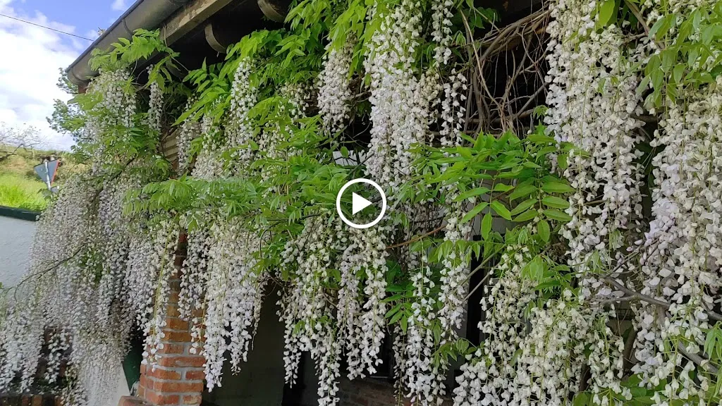 Restaurante Casa Telva_Bimenes_slider_image_2