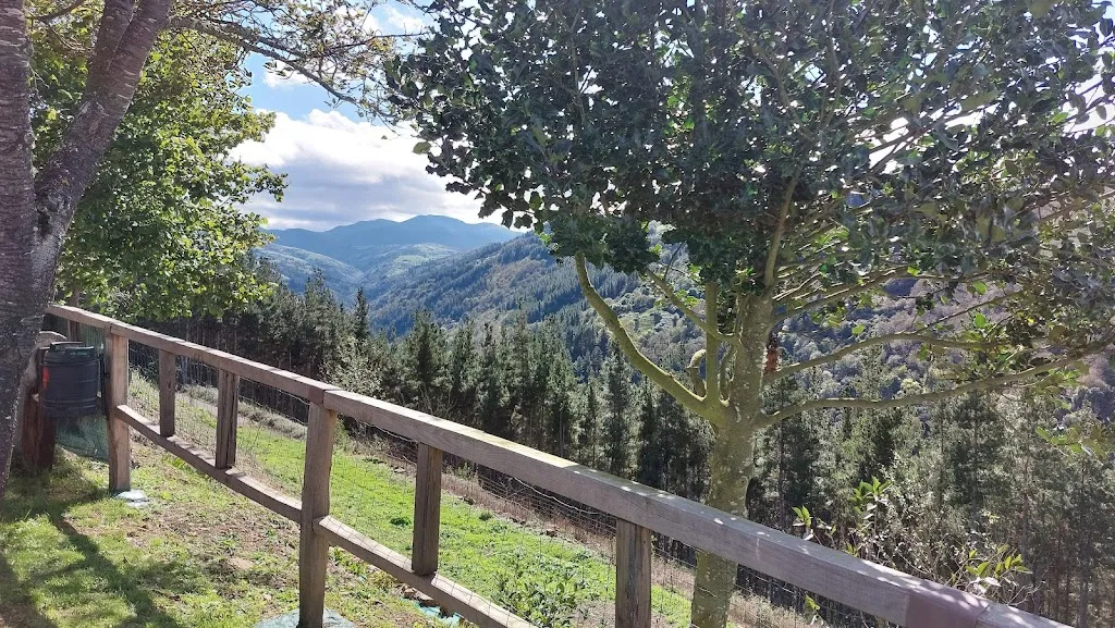 Bar Restaurante Los Remedios_Cangas del Narcea_slider_image_3