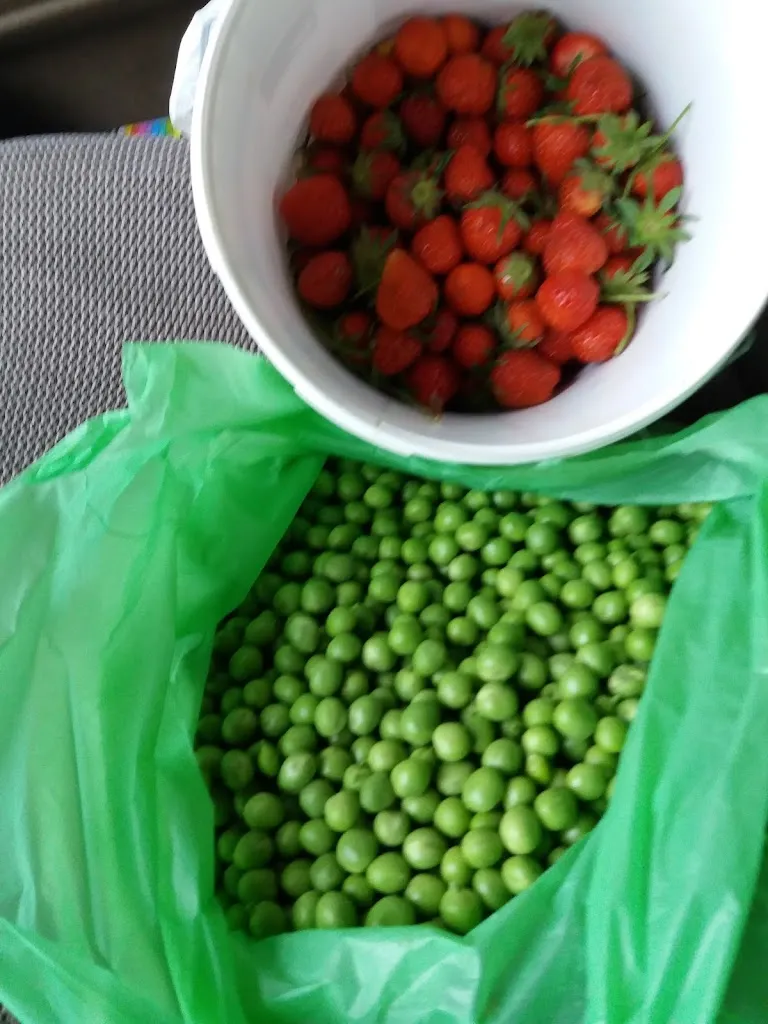 Menü_Bar La Himera_Cangas del Narcea_Bild_7