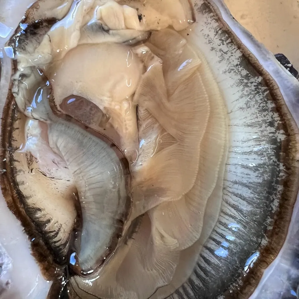 Acueo · Ostras del Eo_Castropol_slider_image_2