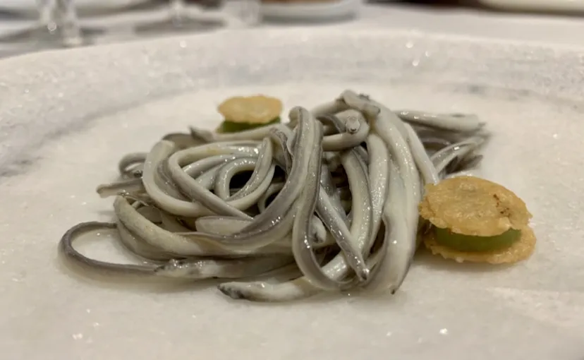 David Meana_Casa Gerardo_Carreño_review