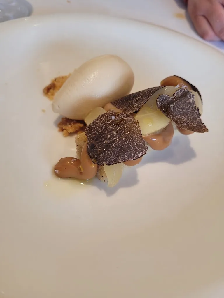 Juliana Mariozi_Casa Gerardo_Carreño_review