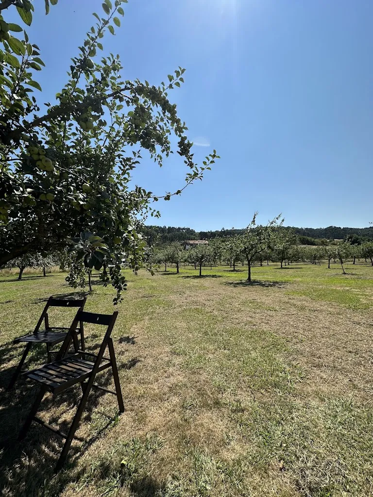 Cristina Cefai_Llagar La Hacienda De La Abuela,_Carreño_review