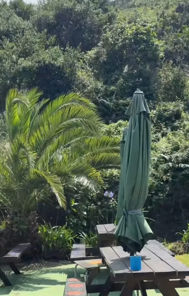 Nicole Solano_Xigarito_Carreño_review