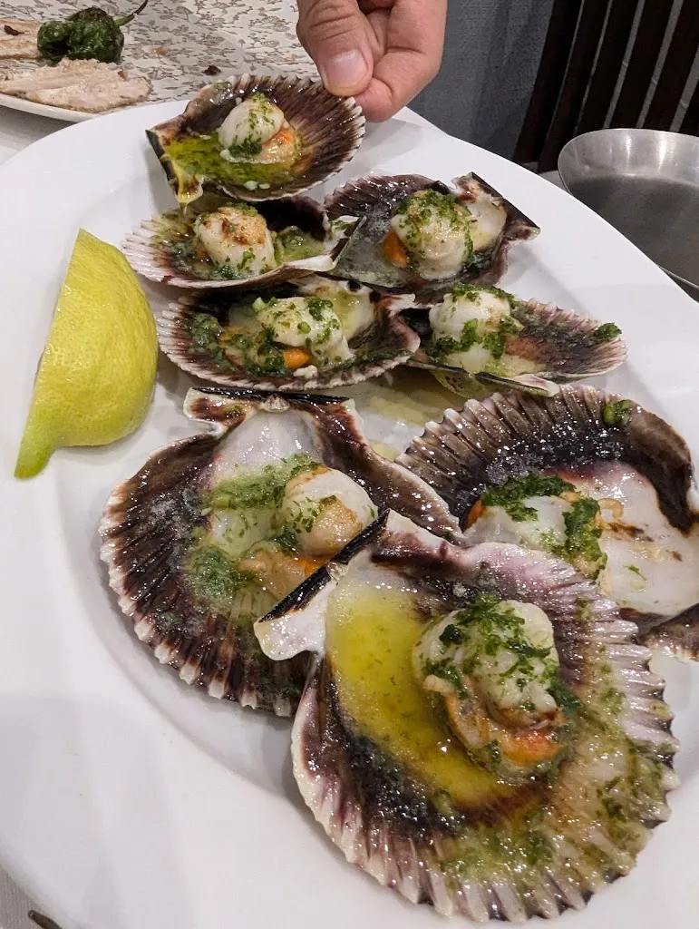 Michael A. Giannotti_O'Grove_Gozón_review