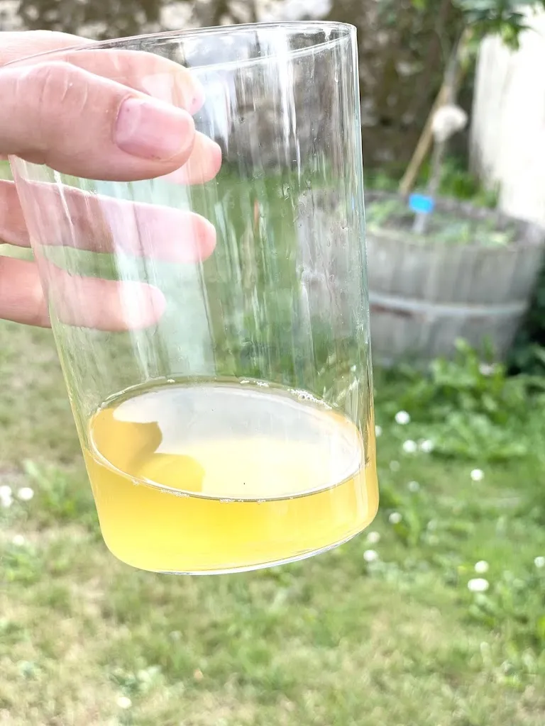 Menu_La Taberna_Colunga_image_6