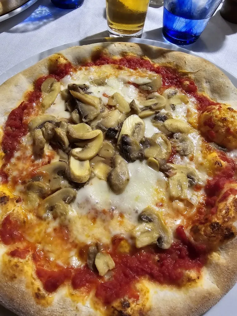 Francesca Emmett_Savial_Grado_review