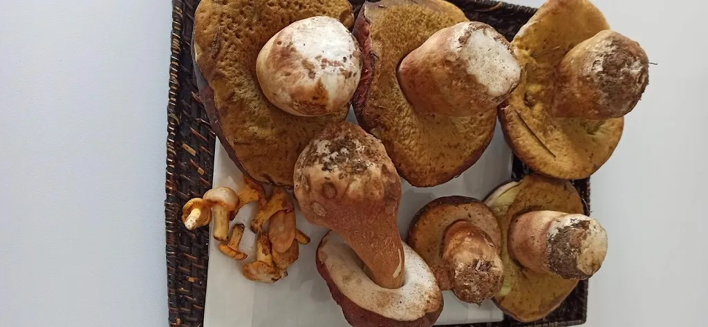 Menu_Bar Félix_Ibias_image_3