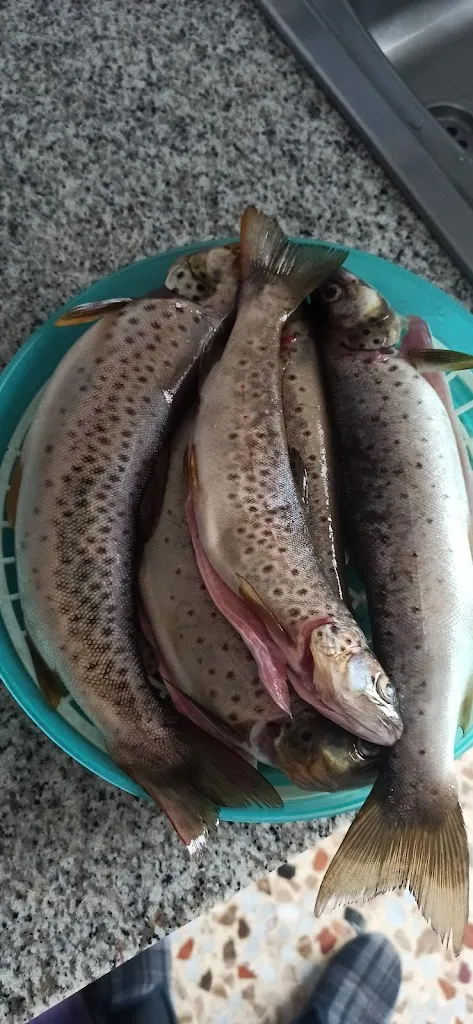 Menu_Bar Félix_Ibias_image_7