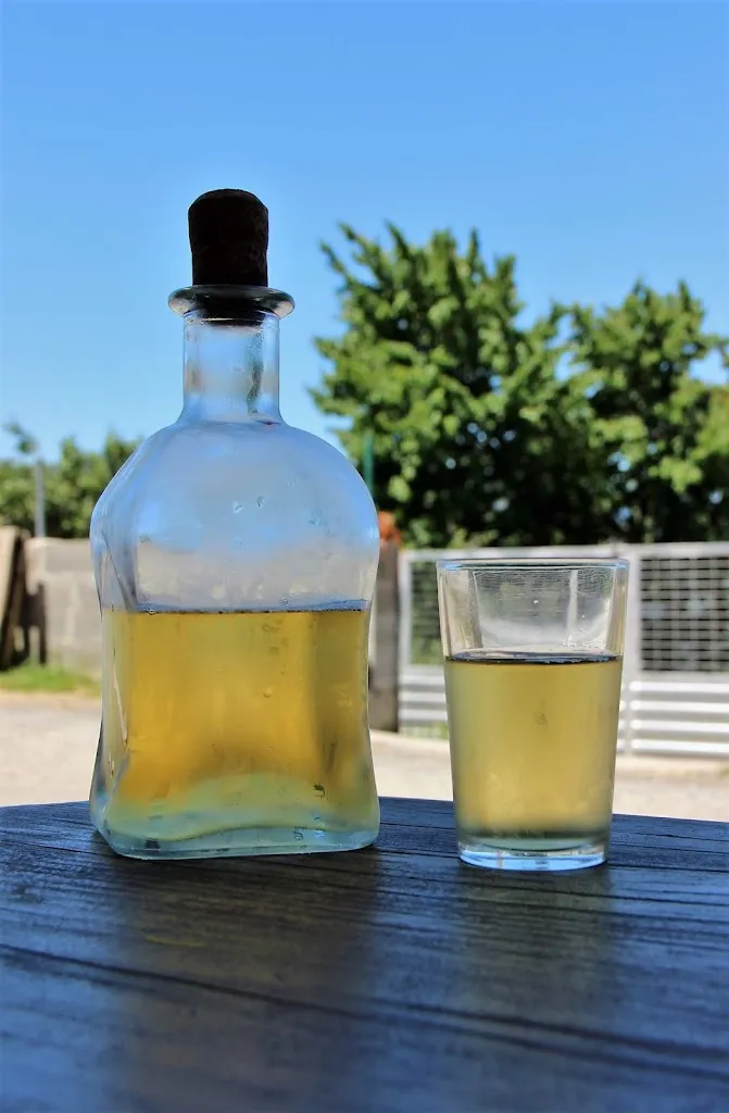 Menu_Cantina Sena_Ibias_image_7