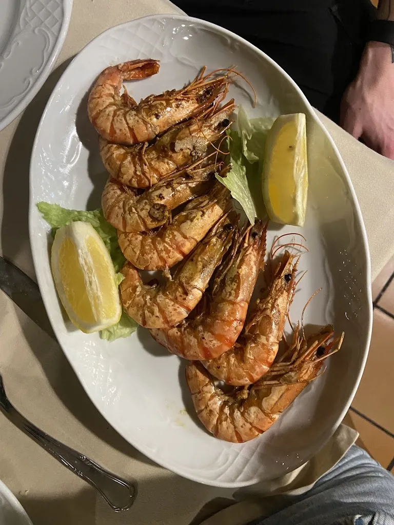 Will Howe_El Planeta_Gijón_recensione