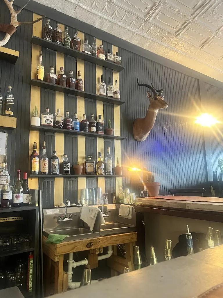 Katie West_The Falls_Illano_review