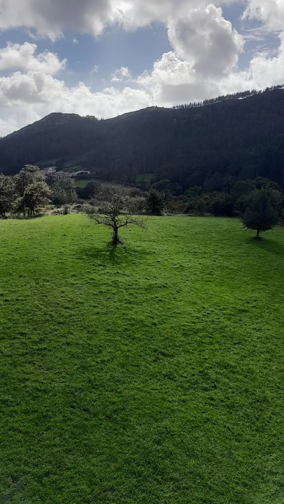 Restaurante & Alojamientos A Pedra_Dumbría_slider_image_3