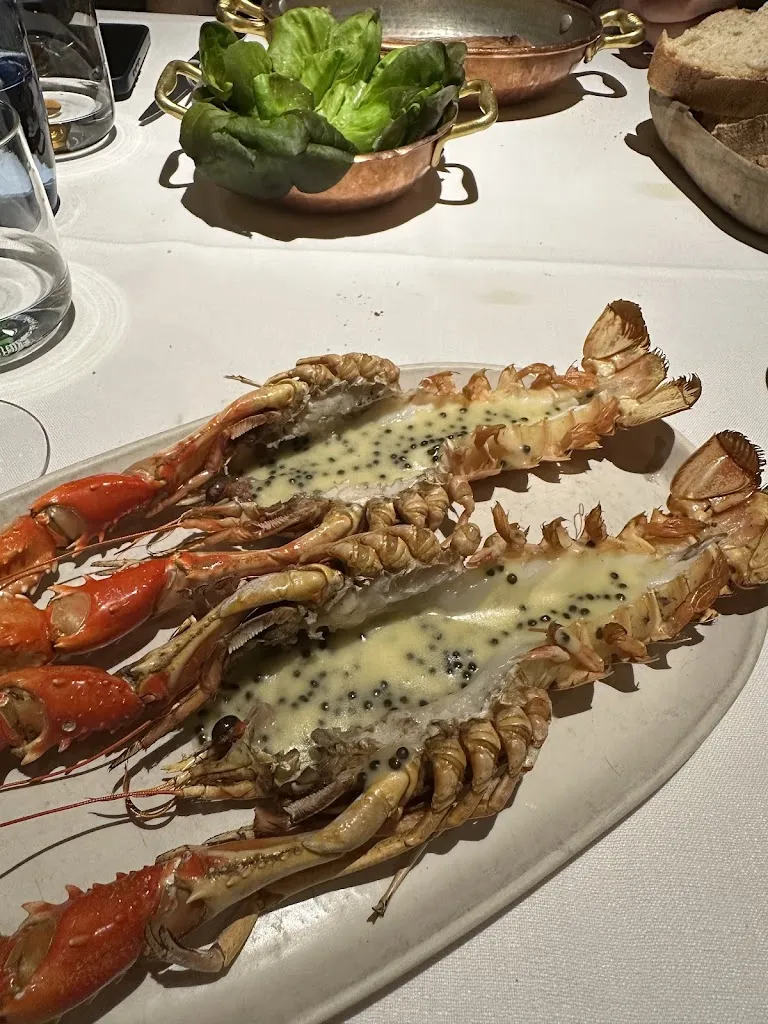 Olga Volkova_Lobito de Mar_Lena_review