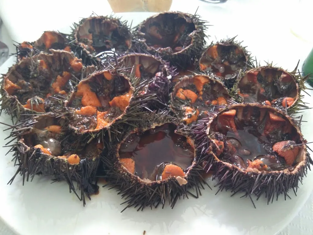 Menu_Sidrería Restaurante El Gaucho_Langreo_image_8