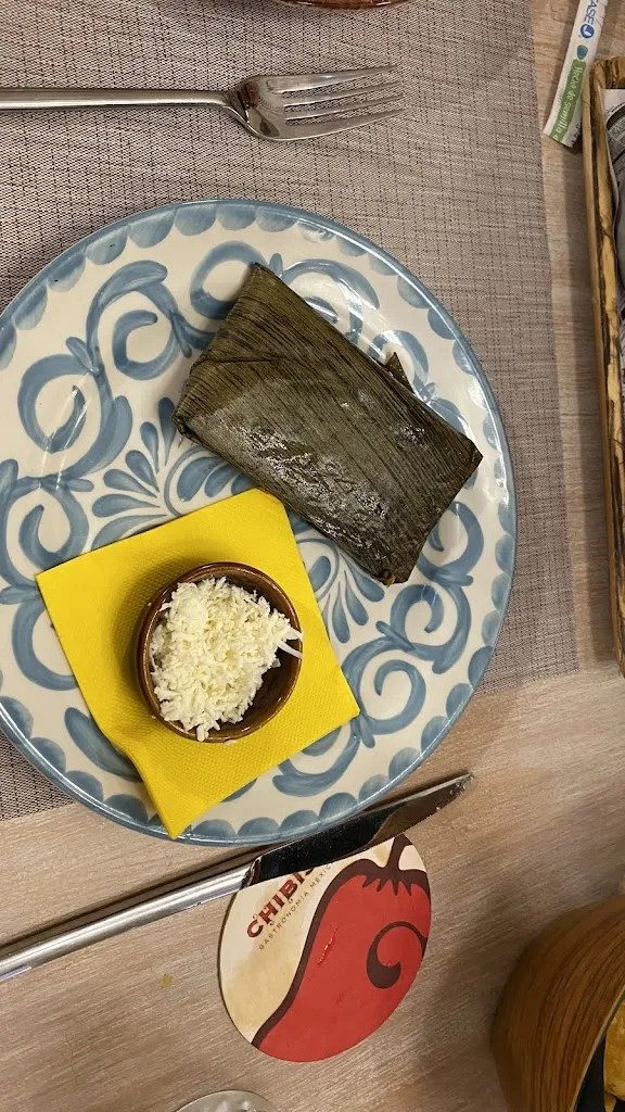 shubhra bhatt_El Chibiski llanes_Llanes_review