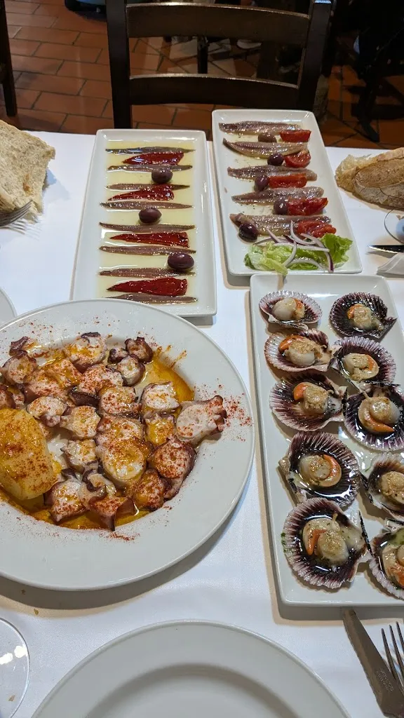 Javier Arias González_Casa Poli_Llanes_review