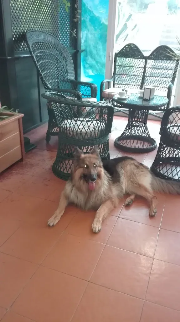 Fabiola Rr_Restaurante Palacio de Cimiano Bodas y Banquetes_Peñamellera Baja_review