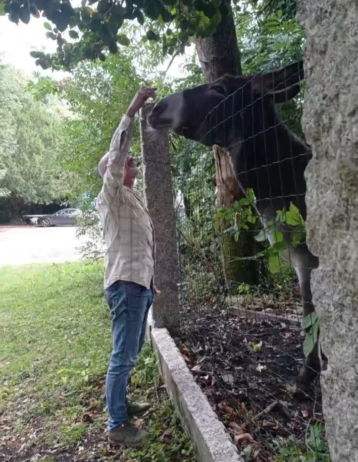 Carlos Polo_Chiringuito Do Belelle_Fene_review