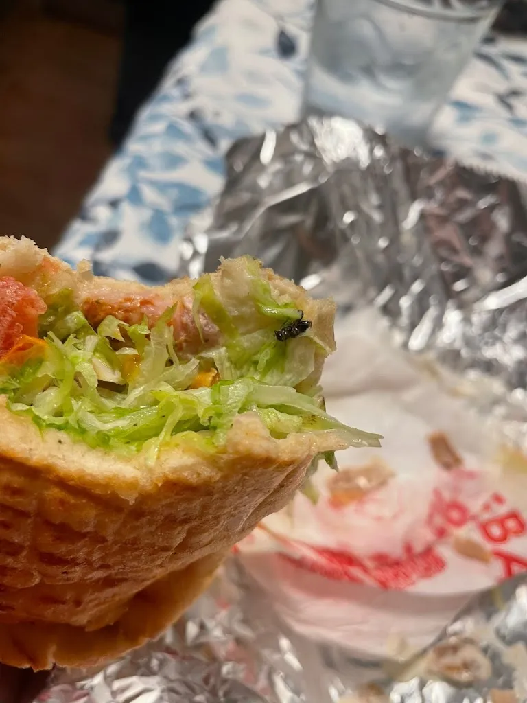 Sarai Mella_Istambul doner kebab_Fene_review