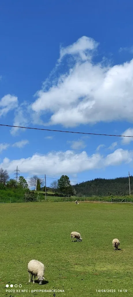 Pei Zhi Liou_Casa Florinda_Regueras Las_avis