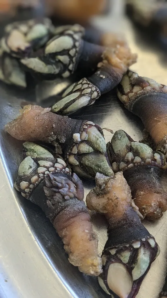 Menu_Restaurante Casa Adriano_Santo Adriano_immagine_7