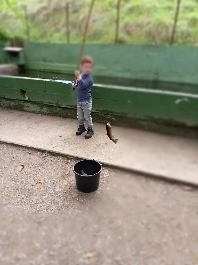 Alba Beriso_Restaurante pesca tu trucha y te la cocinamos_Sobrescobio_recensione