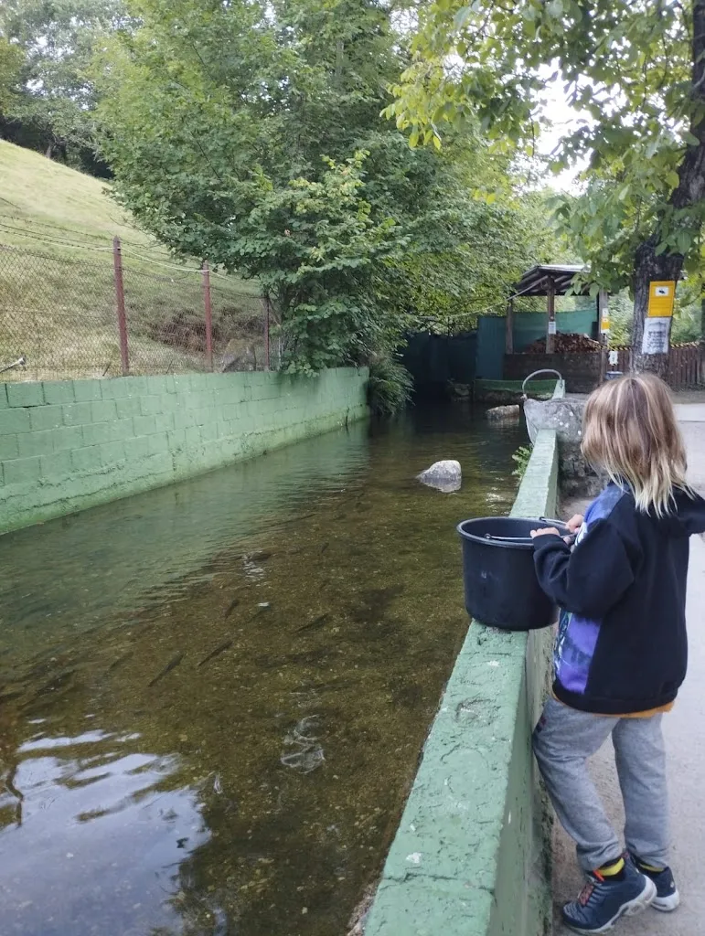Andrés OSHE_Restaurante pesca tu trucha y te la cocinamos_Sobrescobio_recensione