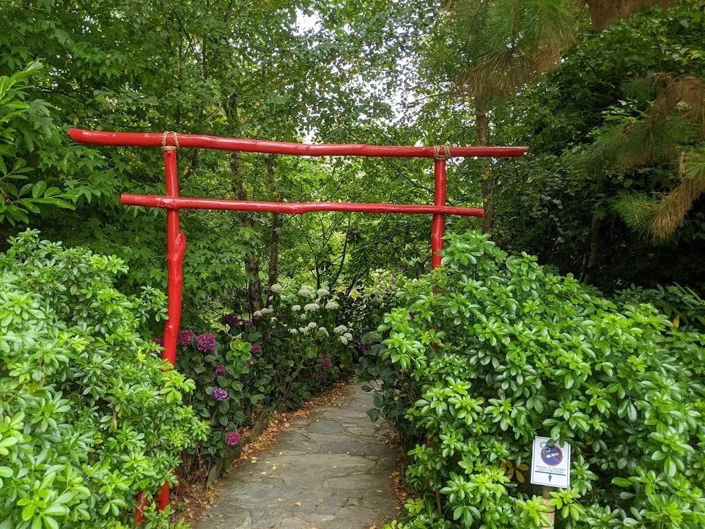 Javier Arias González_Los Arándanos. ABRIMOS Sábados y Domingos. Último fin de semana abierto_Taramundi_review