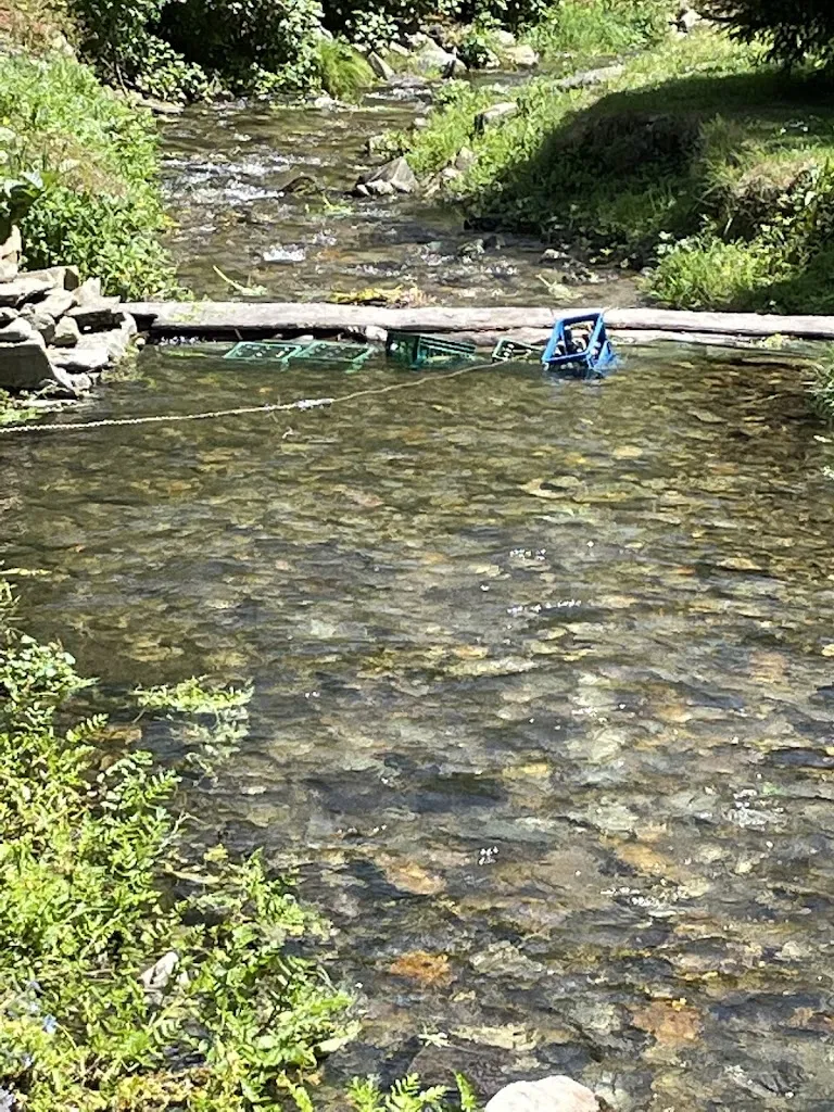 Rob Schuiling_Mesón de As Veigas_Taramundi_recensione