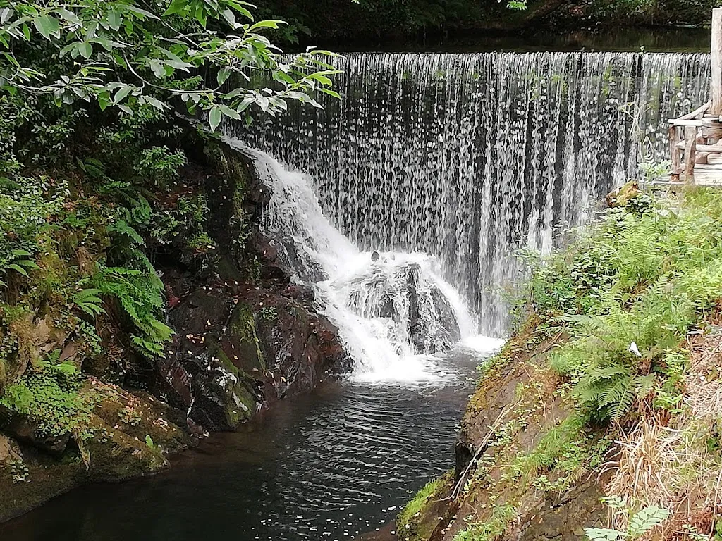 Carlos Lens_Sidrería Solleiro_Taramundi_review